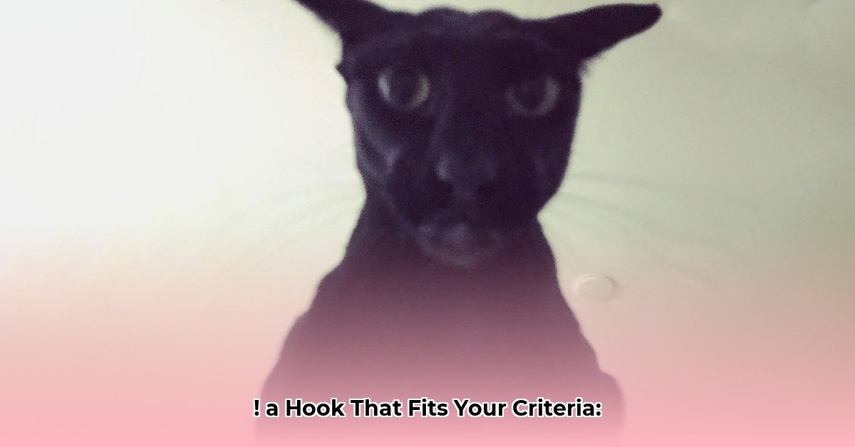 larry-sabato-net-worth